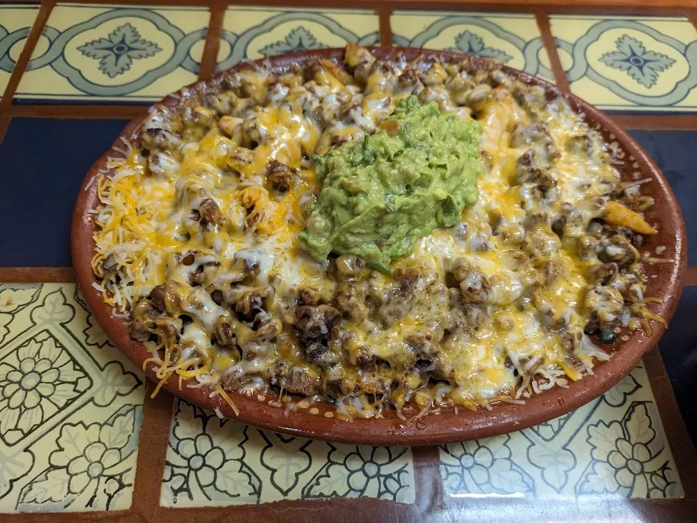 Nacho Fries with Carne Asada